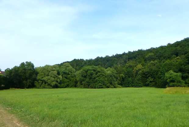 landkaeufe-weidatal-2a