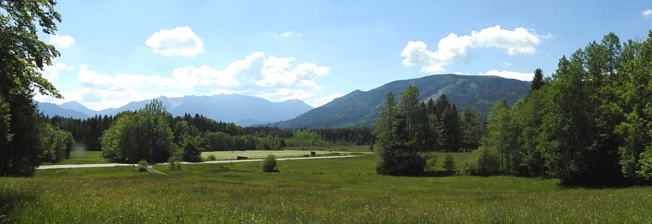 landkaeufe-wiesmahd-bei-bad-kohlgrub-2