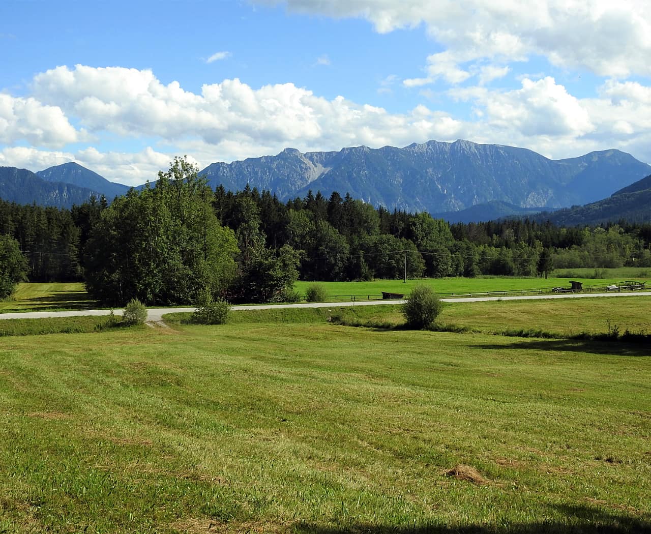 landkaeufe-wiesmahd-bei-bad-kohlgrub-5