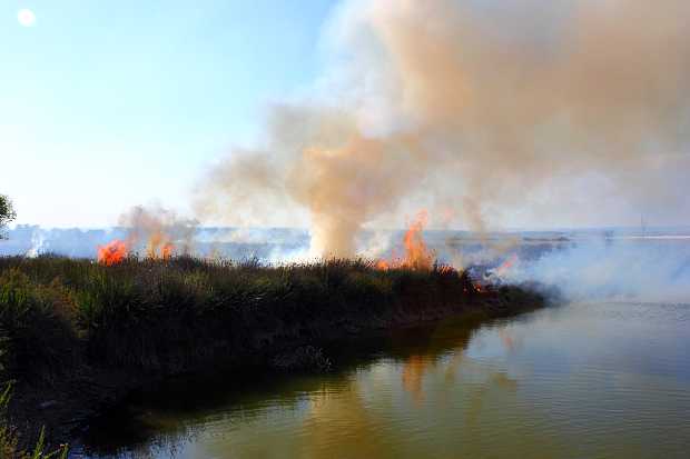 landkaeufe-zugvogelschutzgebiet-pantani-cuba-und-longarini-10a