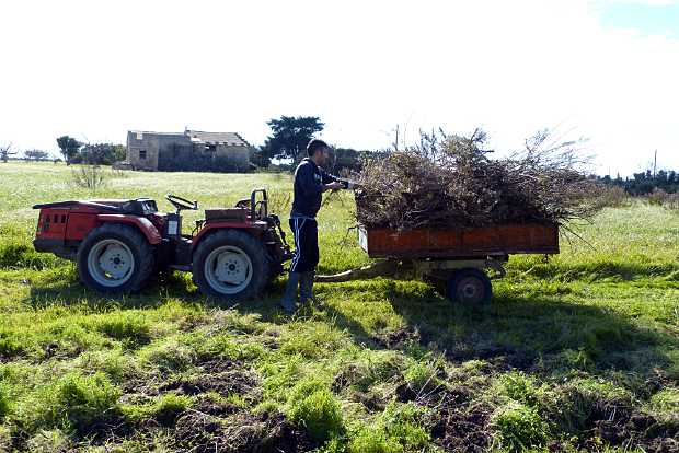 landkaeufe-zugvogelschutzgebiet-pantani-cuba-und-longarini-11b