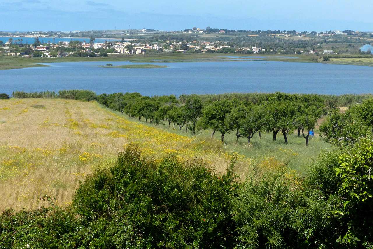 landkaeufe-zugvogelschutzgebiet-pantani-cuba-und-longarini-14