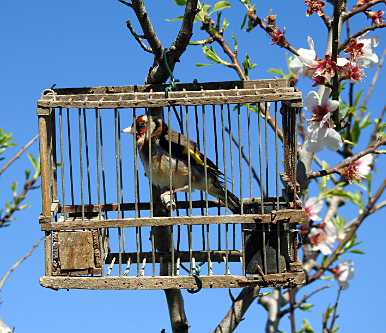 landkaeufe-zugvogelschutzgebiet-pantani-cuba-und-longarini-23c