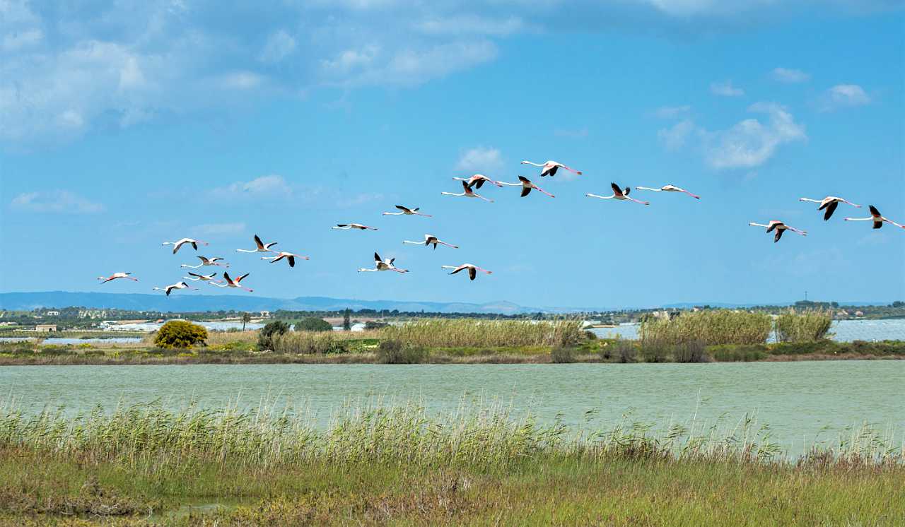 landkaeufe-zugvogelschutzgebiet-pantani-cuba-und-longarini-29