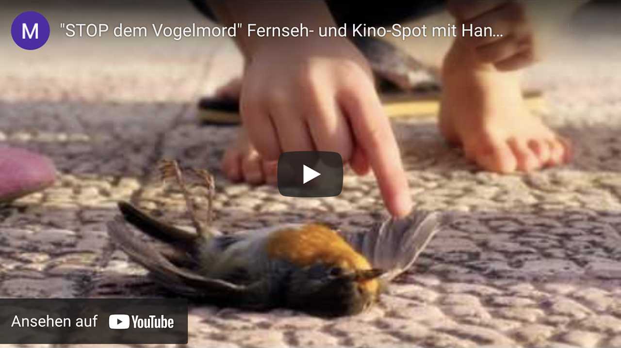 STOP dem Vogelmord - Fernseh- und Kinospot mit Hannes Jaenicke