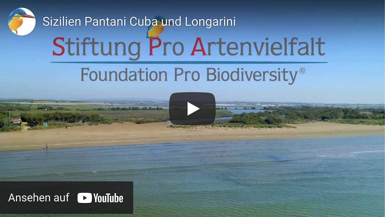 Video: Sizilien Pantani Cuba und Longarini