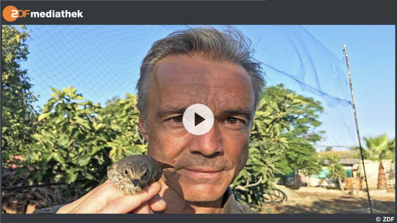 ZDF-Film Hannes Jaenicke im Einsatz für Vögel