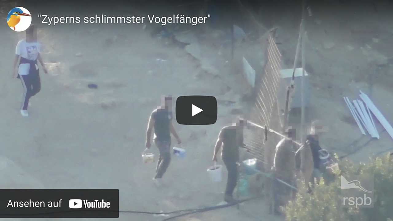 Video Zyperns schlimmster Vogelfänger