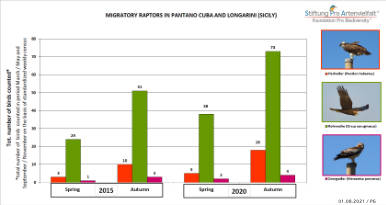 Pantano Cuba Raptors Resting