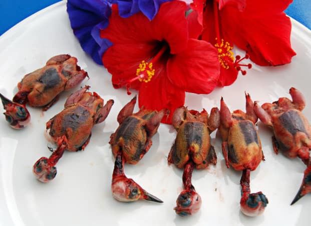 Zypern-Restaurant-Moenchsgrasmuecken