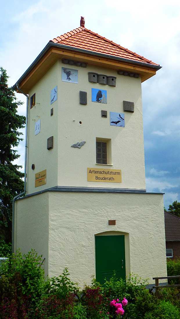 artenschutzgebaeude-nettersheim-ot-bouderath-1b