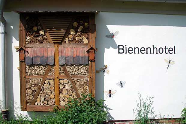 artenschutzgebaeude-nobitz-2