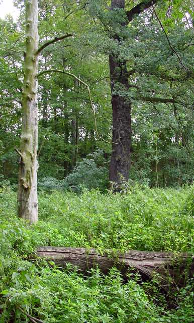 landkaeufe-altenburger-land-2a