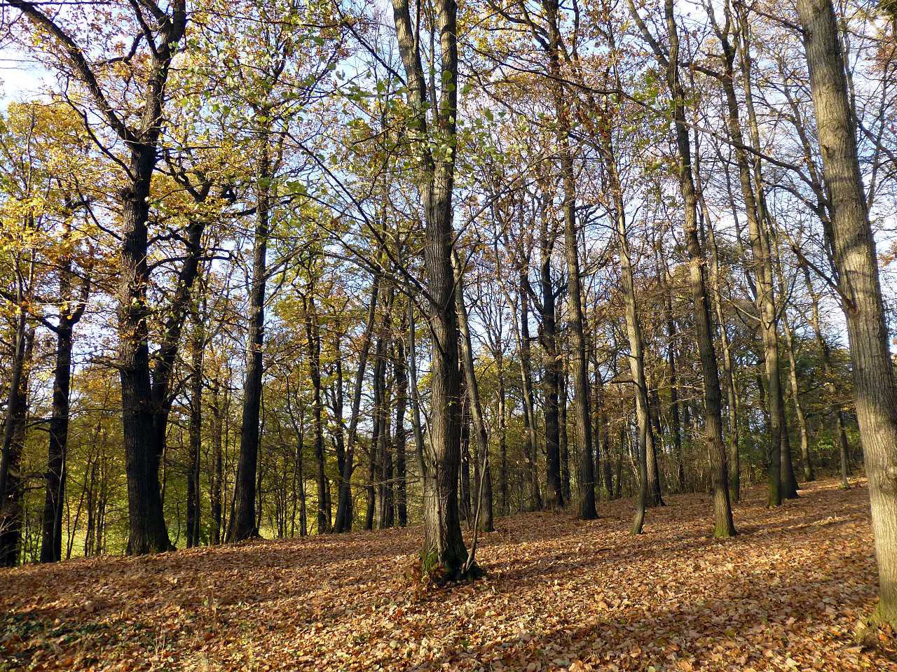 landkaeufe-altenburger-land-3