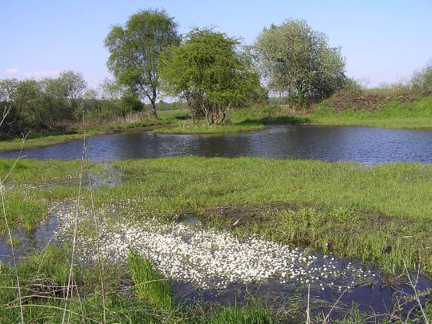 landkaeufe-droemling-4b