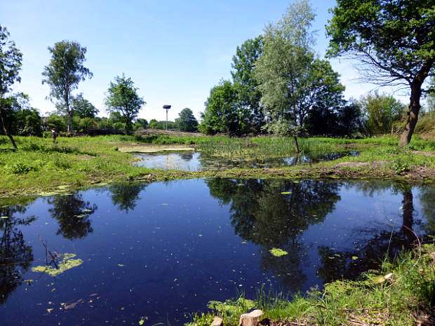 landkaeufe-droemling-6b