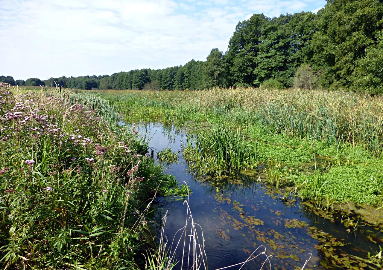 landkaeufe-finowtal-1