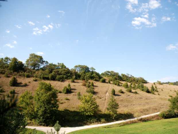 landkaeufe-henfstaedt-3b