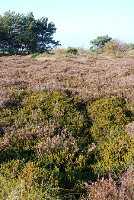 landkaeufe-hiddensee-3