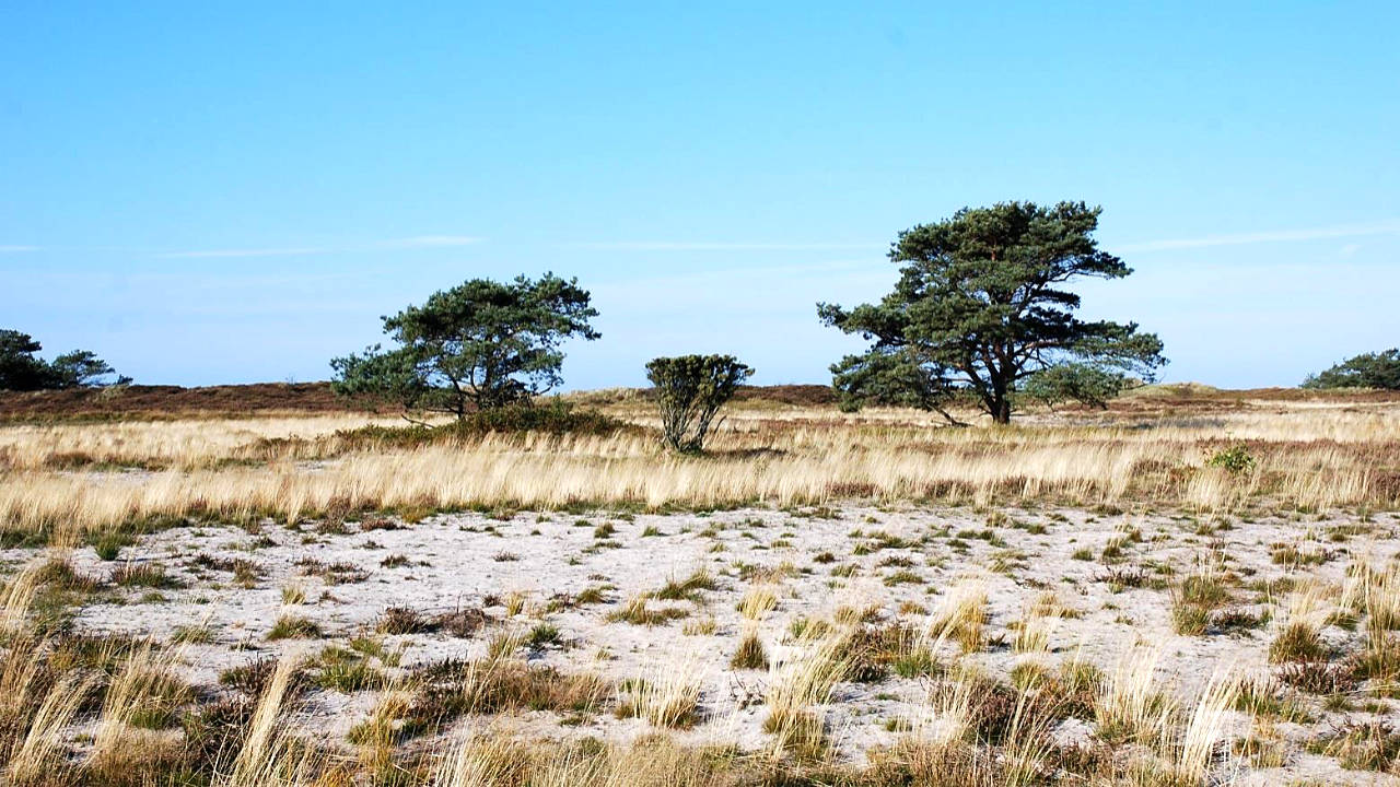 landkaeufe-hiddensee-5