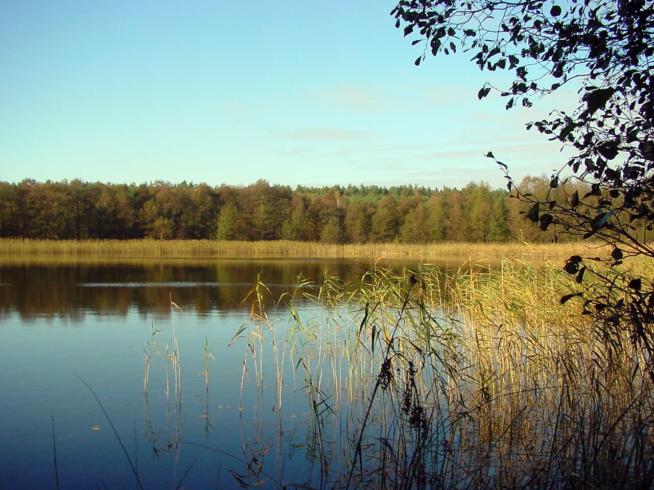 landkaeufe-kleiner-gollinsee-1