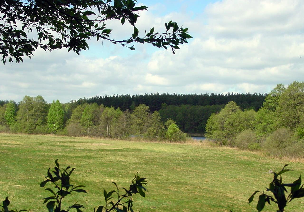 landkaeufe-kleiner-gollinsee-2
