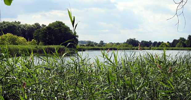 landkaeufe-obersdorfer-vorder--und-hintersee-1b