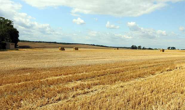 landkaeufe-obersdorfer-vorder--und-hintersee-2c