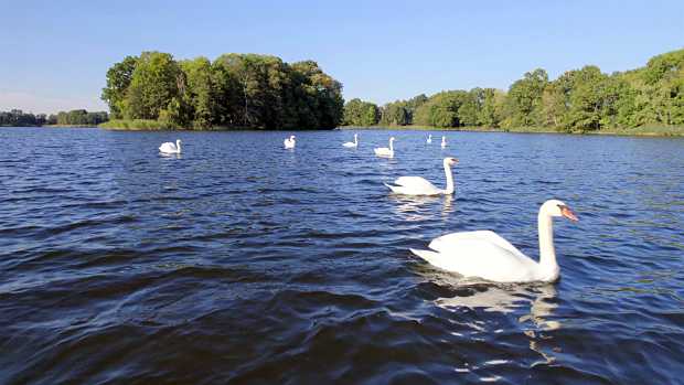 landkaeufe-obersdorfer-vorder--und-hintersee-4b