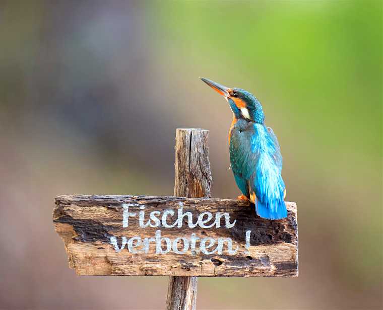 landkaeufe-obersdorfer-vorder--und-hintersee-6