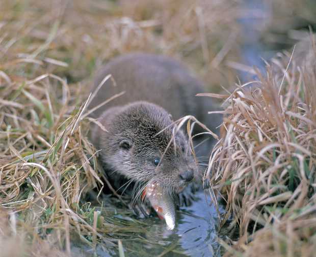 landkaeufe-obersdorfer-vorder--und-hintersee-7a