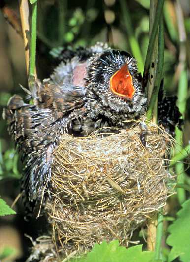 landkaeufe-obersdorfer-vorder--und-hintersee-8b