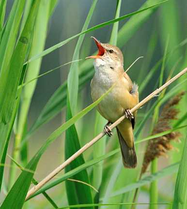 landkaeufe-obersdorfer-vorder--und-hintersee-8c