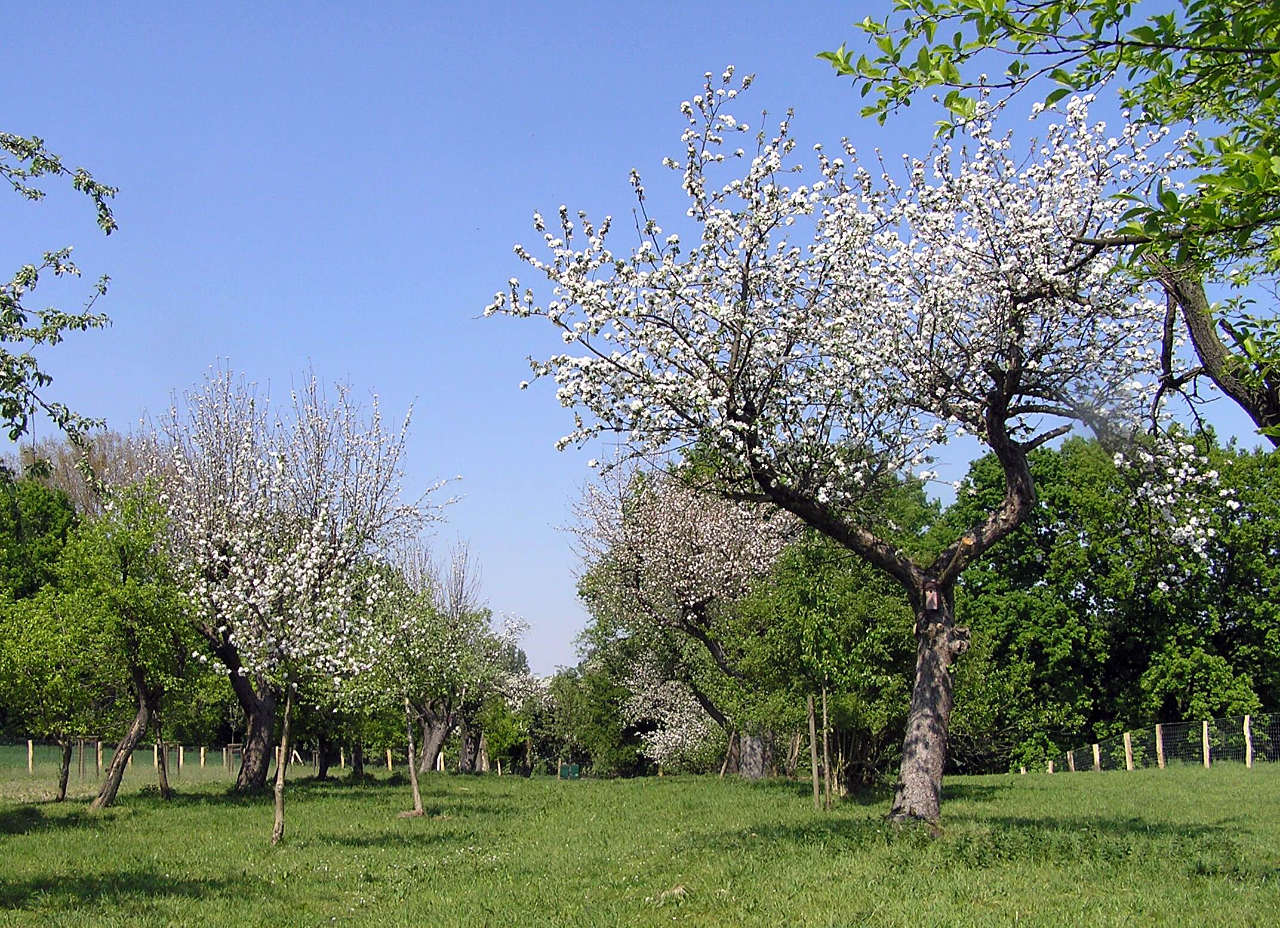 landkaeufe-paderborner-land-1