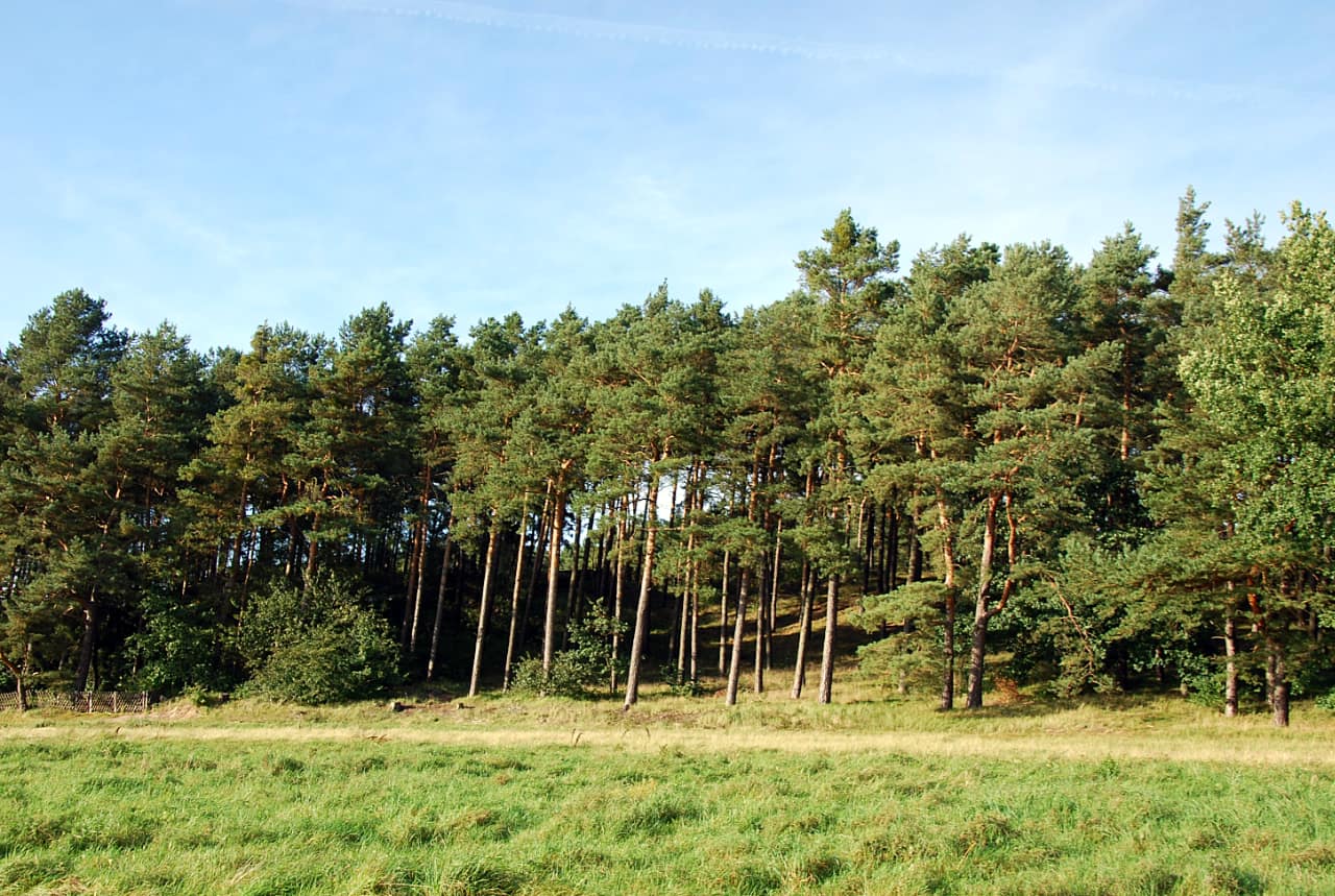 landkaeufe-torfstich-klosterfelde-4