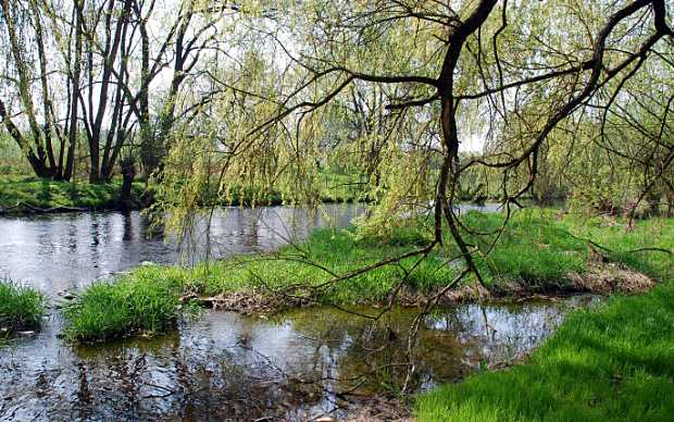 landkaeufe-weidatal-4a