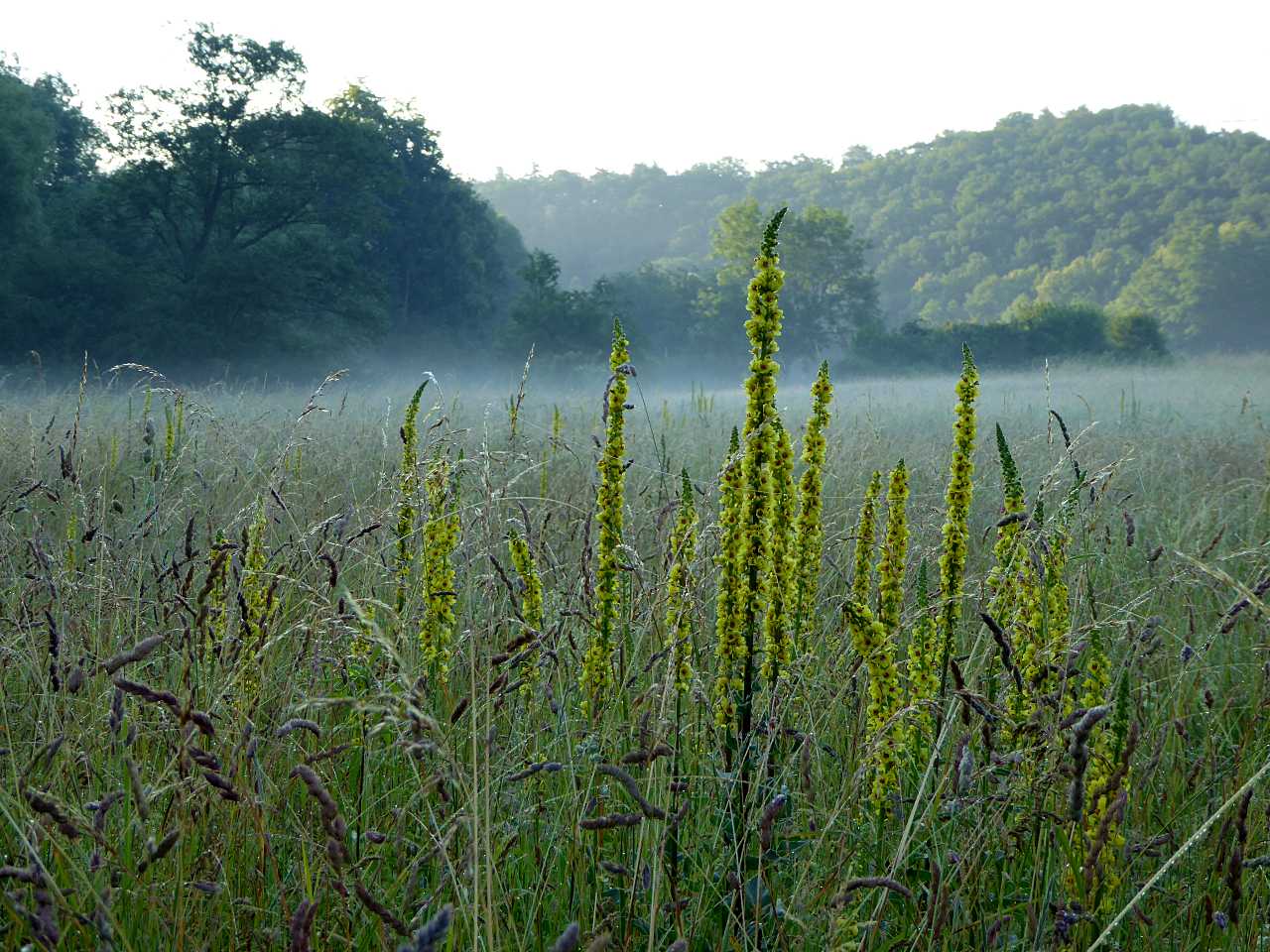 landkaeufe-weidatal-4c