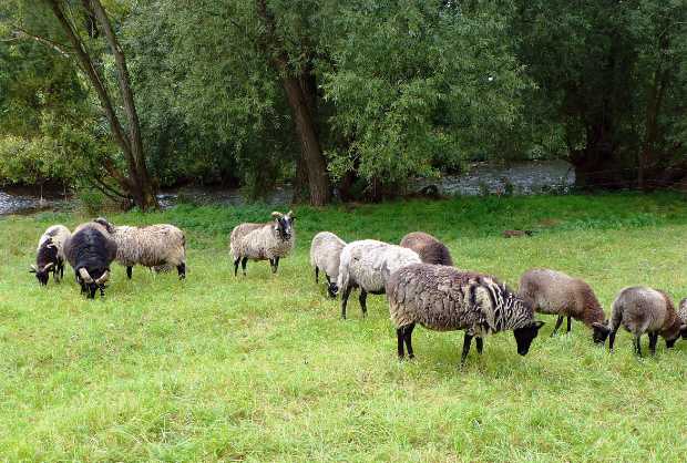 landkaeufe-weidatal-5b