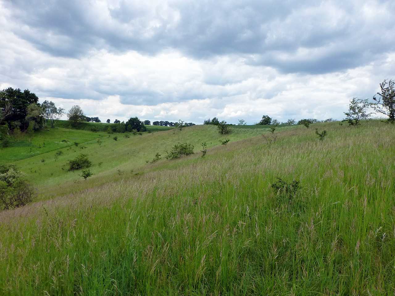 landkaeufe-wilder-berg-bei-seelow-2