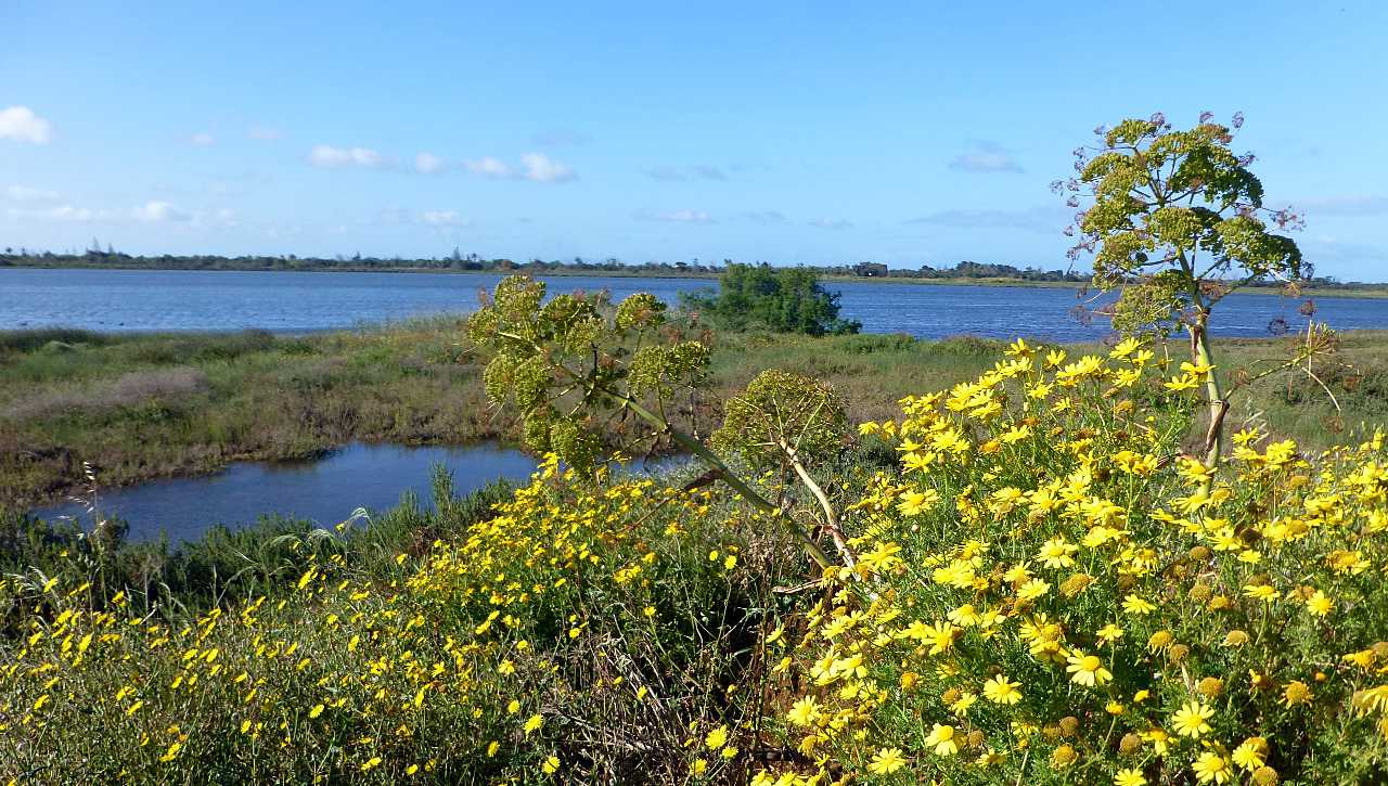 landkaeufe-zugvogelschutzgebiet-pantani-cuba-und-longarini-1