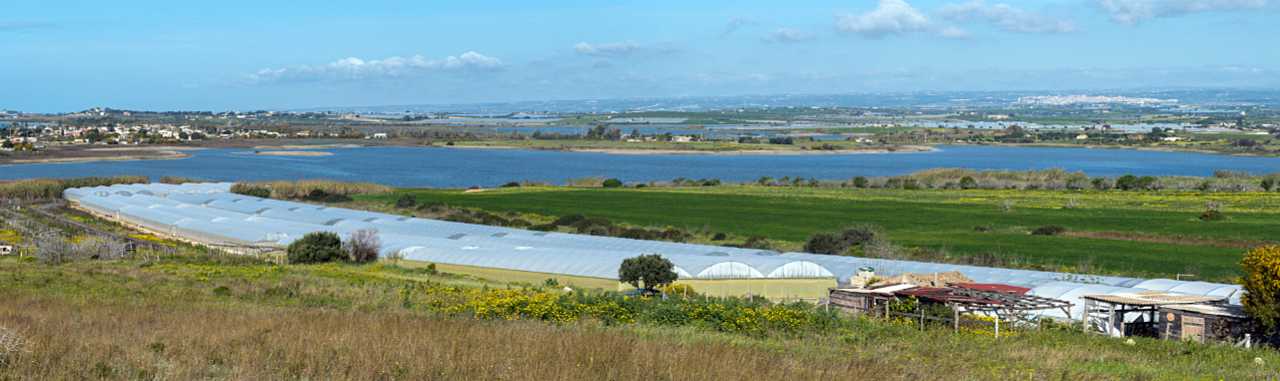 landkaeufe-zugvogelschutzgebiet-pantani-cuba-und-longarini-22