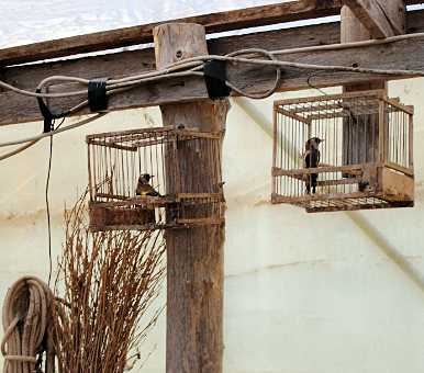 landkaeufe-zugvogelschutzgebiet-pantani-cuba-und-longarini-23a