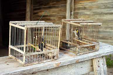 landkaeufe-zugvogelschutzgebiet-pantani-cuba-und-longarini-23b