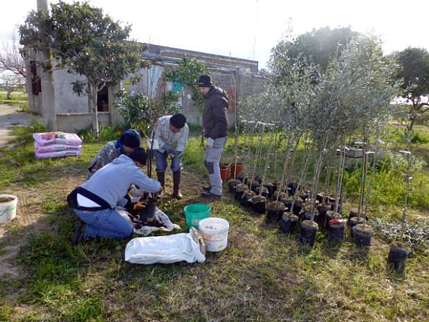 landkaeufe-zugvogelschutzgebiet-pantani-cuba-und-longarini-24a