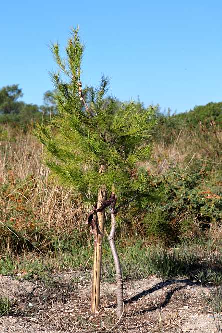 landkaeufe-zugvogelschutzgebiet-pantani-cuba-und-longarini-24b