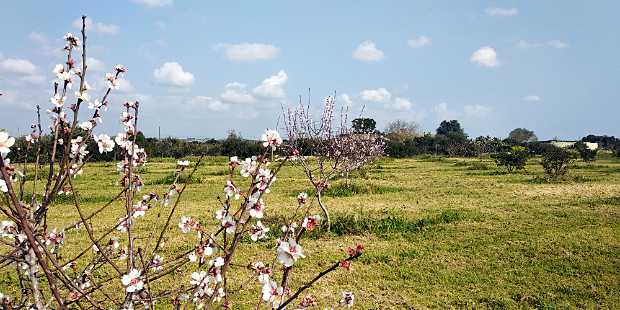 landkaeufe-zugvogelschutzgebiet-pantani-cuba-und-longarini-26b
