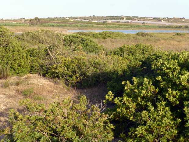 landkaeufe-zugvogelschutzgebiet-pantani-cuba-und-longarini-27a