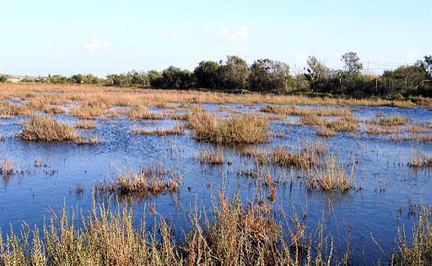 landkaeufe-zugvogelschutzgebiet-pantani-cuba-und-longarini-27b