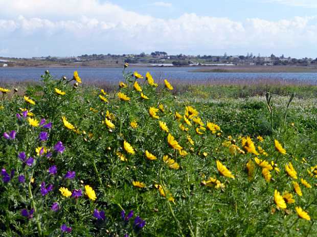 landkaeufe-zugvogelschutzgebiet-pantani-cuba-und-longarini-28a