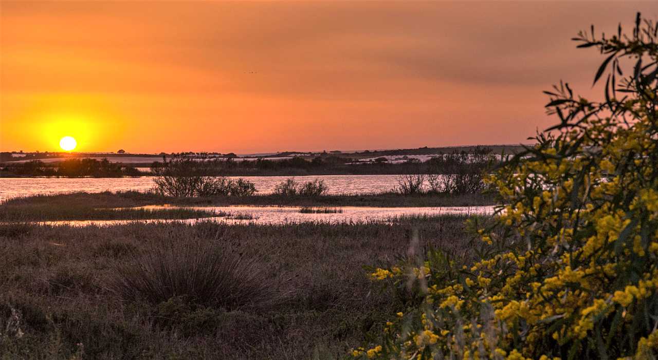 landkaeufe-zugvogelschutzgebiet-pantani-cuba-und-longarini-30